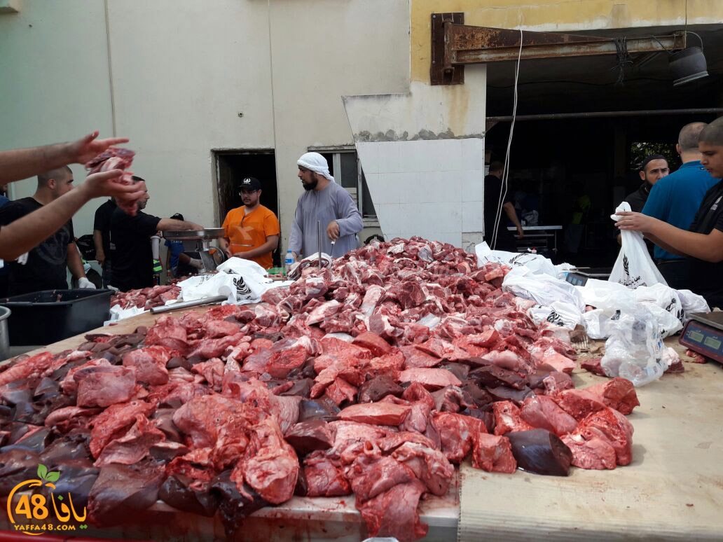 lod8om ada73y (42).jpg